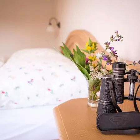 Гостевой дом Alpengasthof Karalm 3*