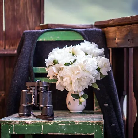 Гостевой дом Alpengasthof Karalm