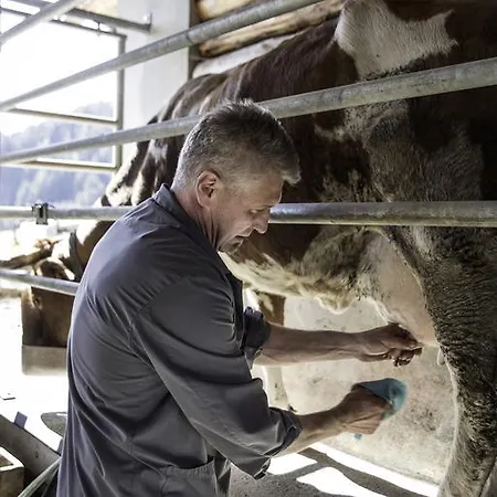 Alpengasthof Karalm Раурис