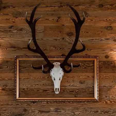 Alpengasthof Karalm Гостевой дом