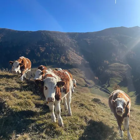 Alpengasthof Karalm * Rauris
