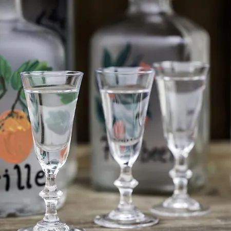 Alpengasthof Karalm Гостевой дом Раурис