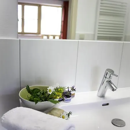 Alpengasthof Karalm Гостевой дом Раурис