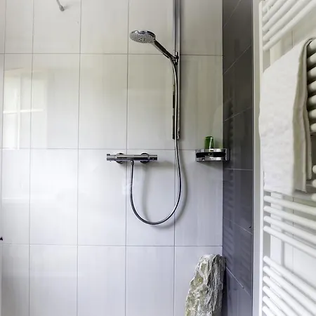 Alpengasthof Karalm Раурис